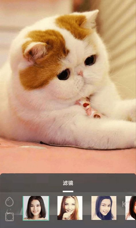 预览图2