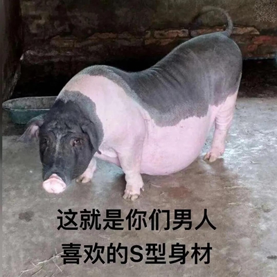 这就是你们男人喜欢的s型身材表情包